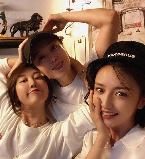 台湾爆料狗仔视频大全集,揭秘娱乐圈幕后真相